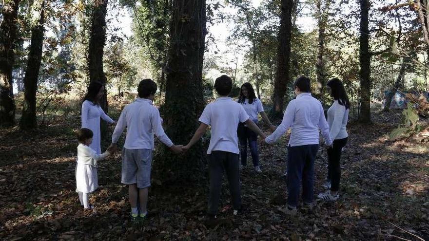 Un grupo de niños rodea uno de los árboles del bosque de O Paraíso.