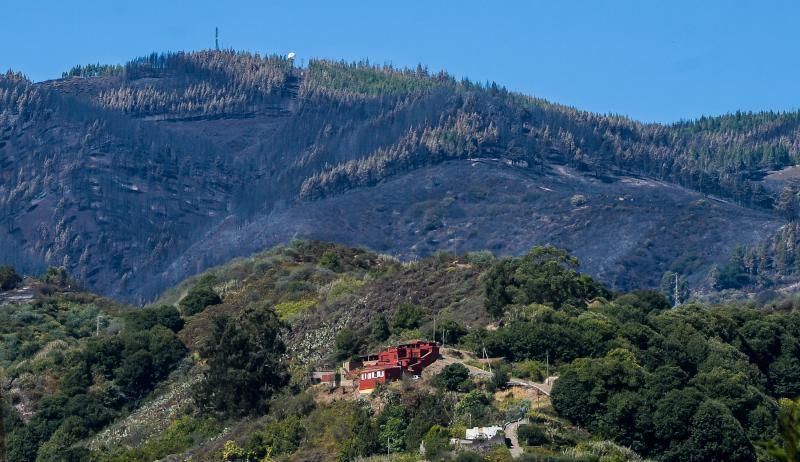 Consecuencias del incendio: De Valleseco a Artenar