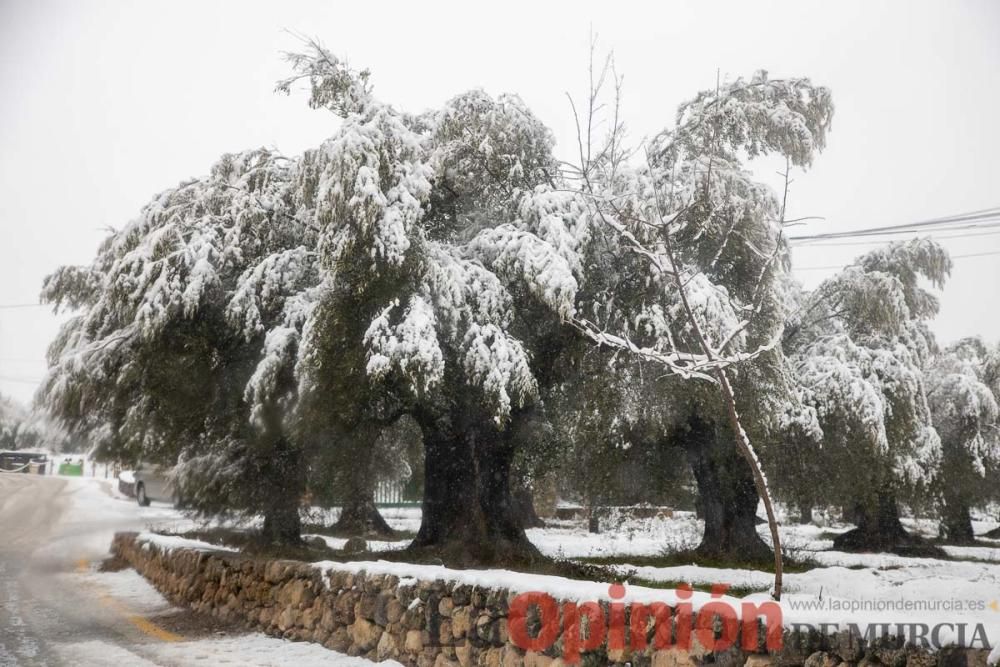 Nieve en las Fuentes del Marqués de Caravaca