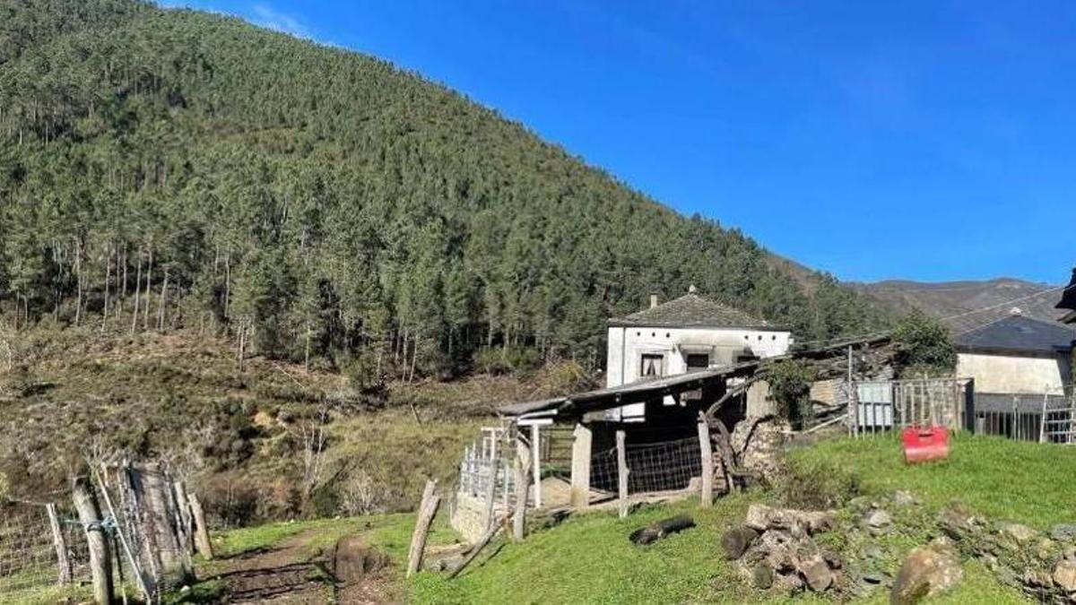 Vista de Forna con el camino de entrada a la localidad sobre el que se actuará, en primer término.