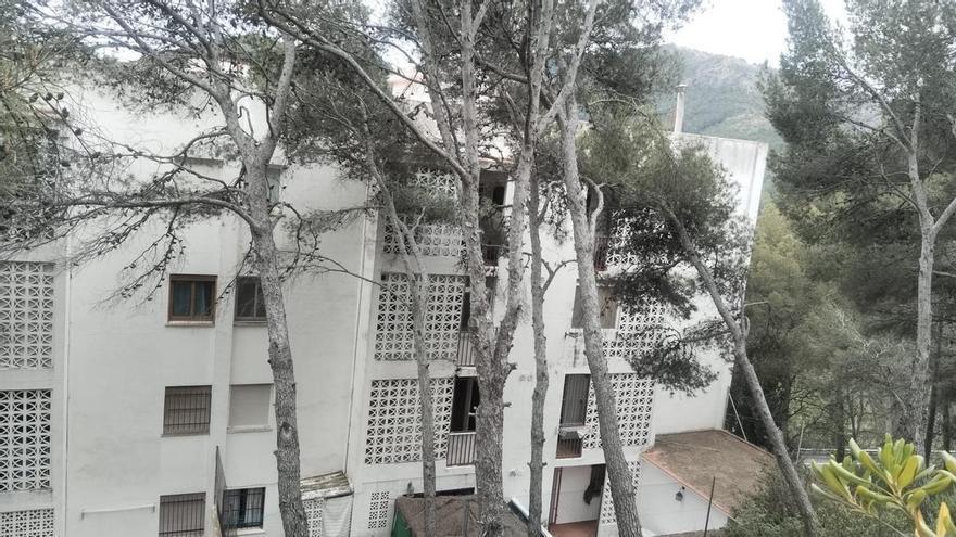 Vecina de Nàquera denuncia abandono y riesgos en la urbanización Monteamor: "Vivimos peor que en una selva"