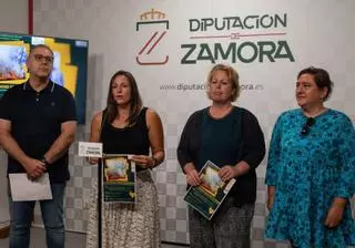 El incendio de La Culebra tira por tierra el turismo micológico y de naturaleza del otoño