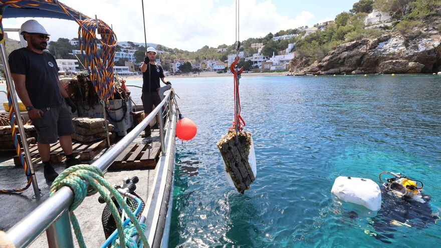 Punto final a los muertos para fondear en Cala Vedella