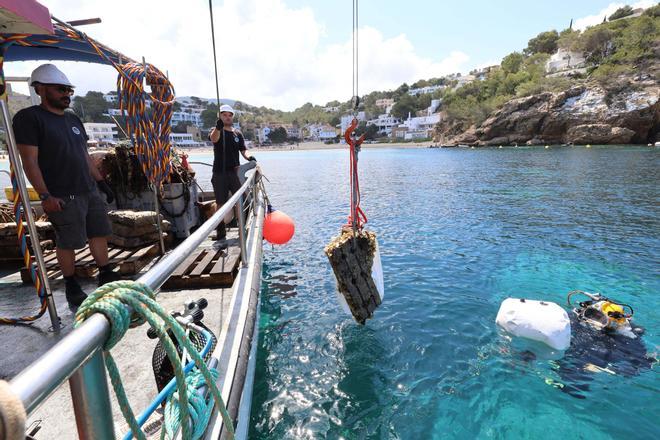 Punto final a los muertos para fondear en Cala Vedella