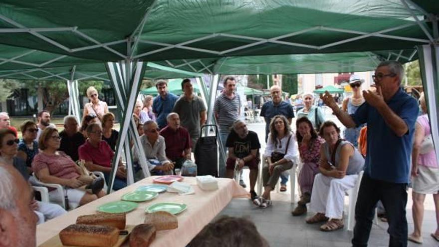 Los expertos hablaron de la diversidad de semillas.