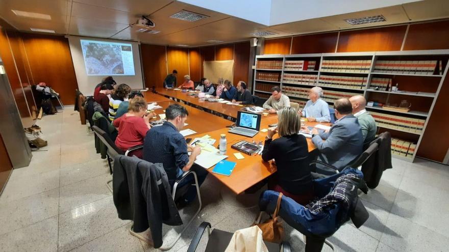 Imagen del encuentro celebrado en el Consell para tratar la recuperación de ses Feixes. | ALIANZA POR EL AGUA