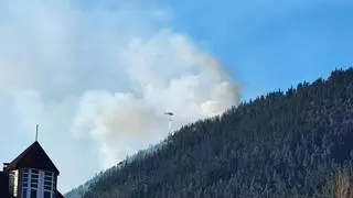 La repoblación de una zona afectada por un incendio en el Monte Cayón, en Piloña, adjudicada en 53.631 euros
