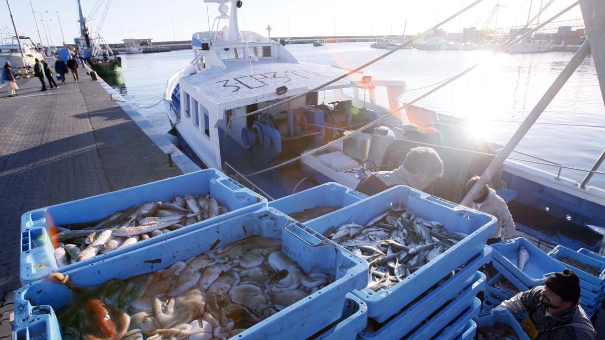 L'arribada de pescadors al port de Palamós, en una imatge d'arxiu.