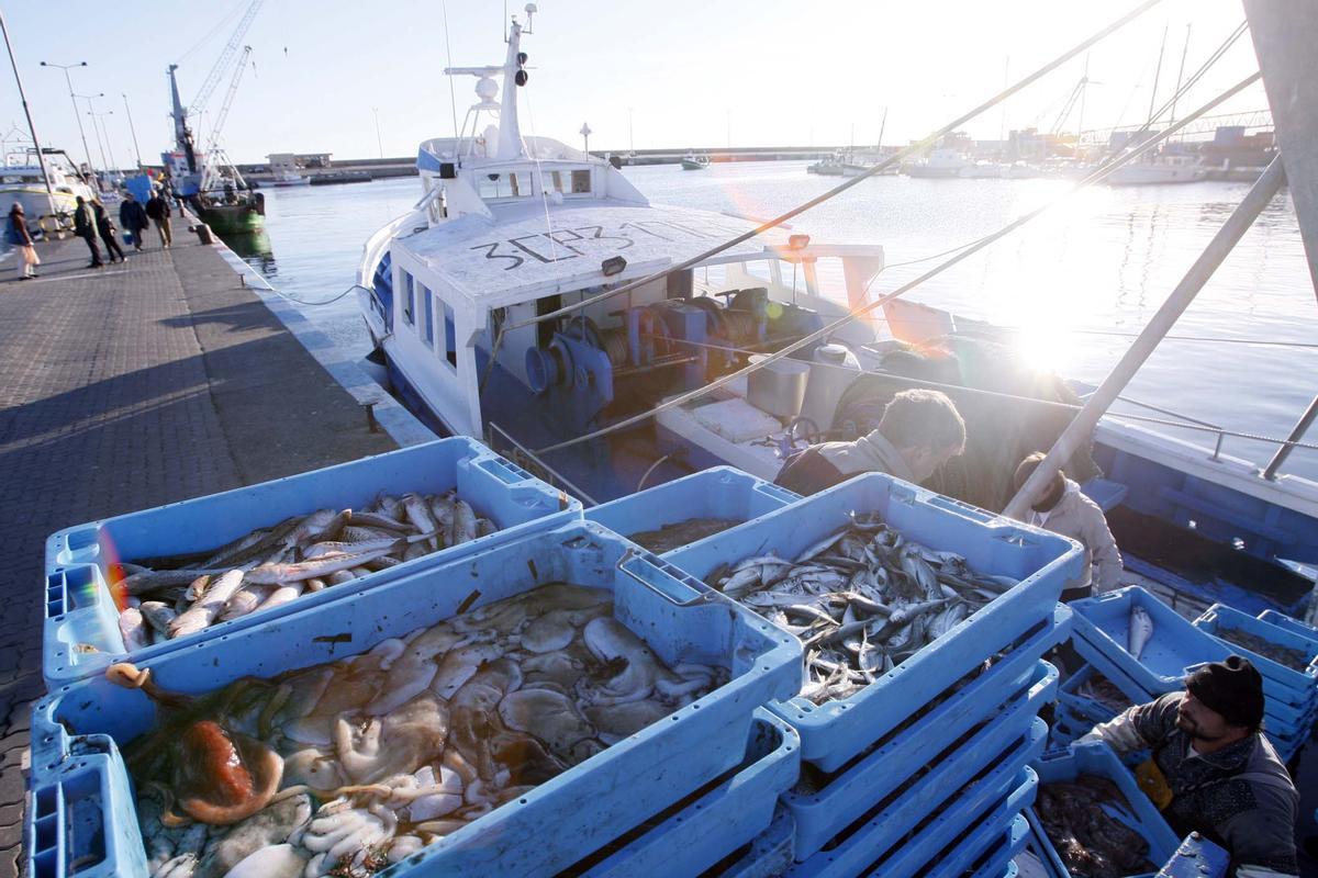 L'arribada de pescadors al port de Palamós, en una imatge d'arxiu.