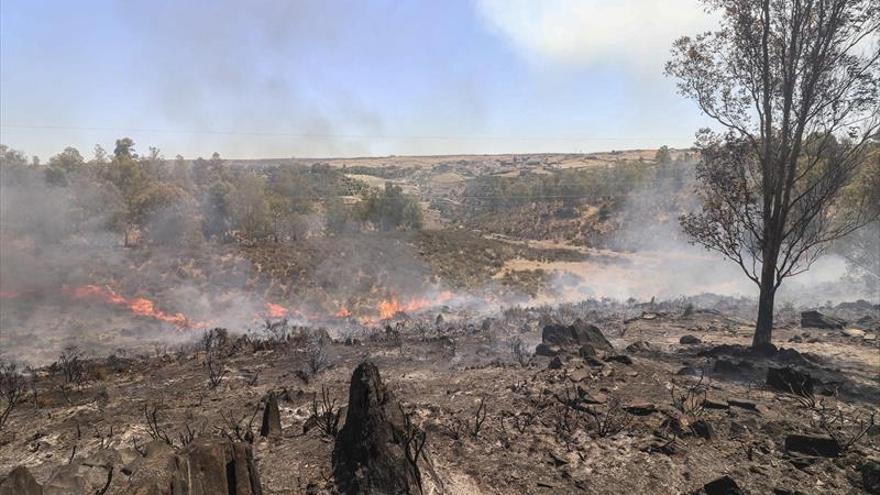 Un incendio junto al puente obligó a cortar la luz en Alcántara