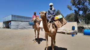 Personal de Médicos sin Fronteras se dispone a llevar ayuda humanitaria en camellos a comunidades aisladas en Sudán, ante el bloqueo de algunas carreteras.