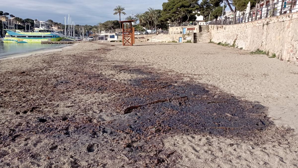 Los operarios han culminado la retirada de los restos de 'barquetes de Sant Pere'