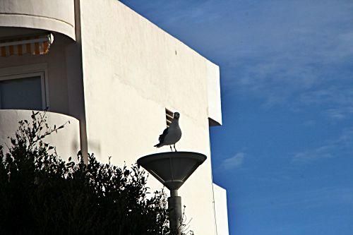 Winter-Blues in Santa Ponça