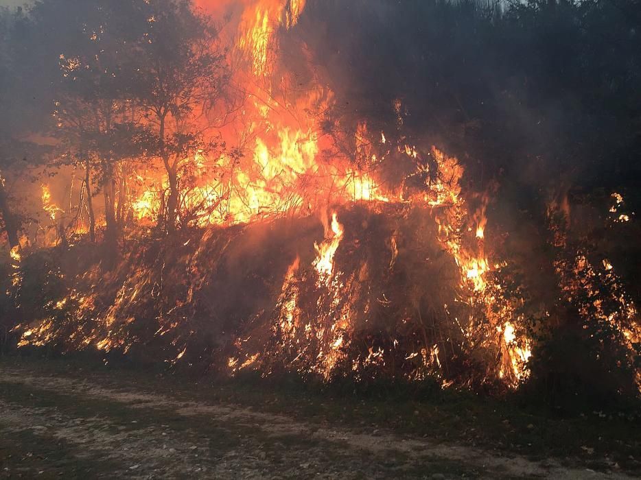 Incendios en Galicia | Fuegos en Ourense