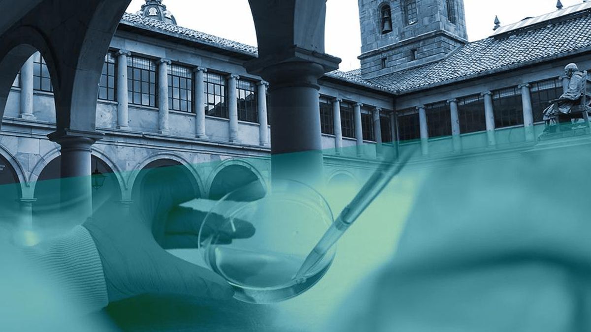 Universidad investigación