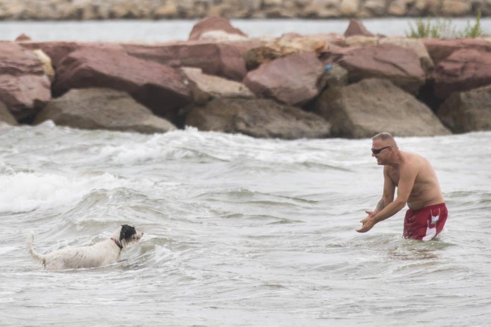 Ambiente en la playa para perros de Pinedo