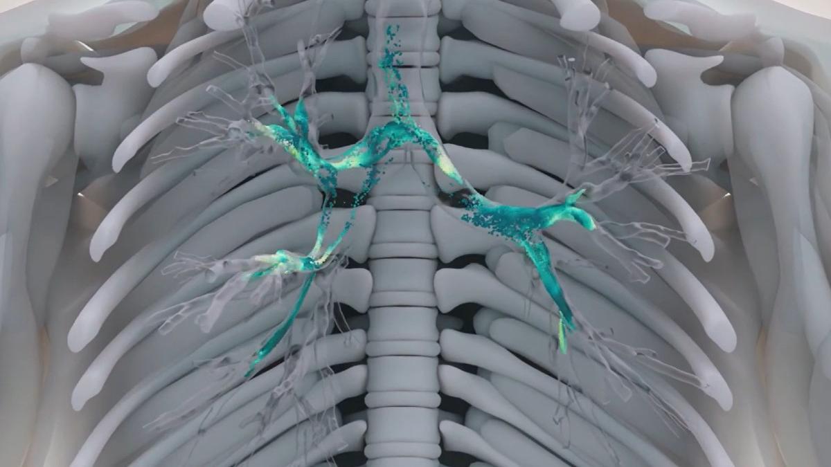 Simulación de unos pulmones creada por el Barcelona Supercomputing Center.