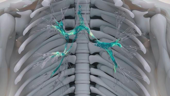 Создают виртуальные легкие для борьбы с загрязнением