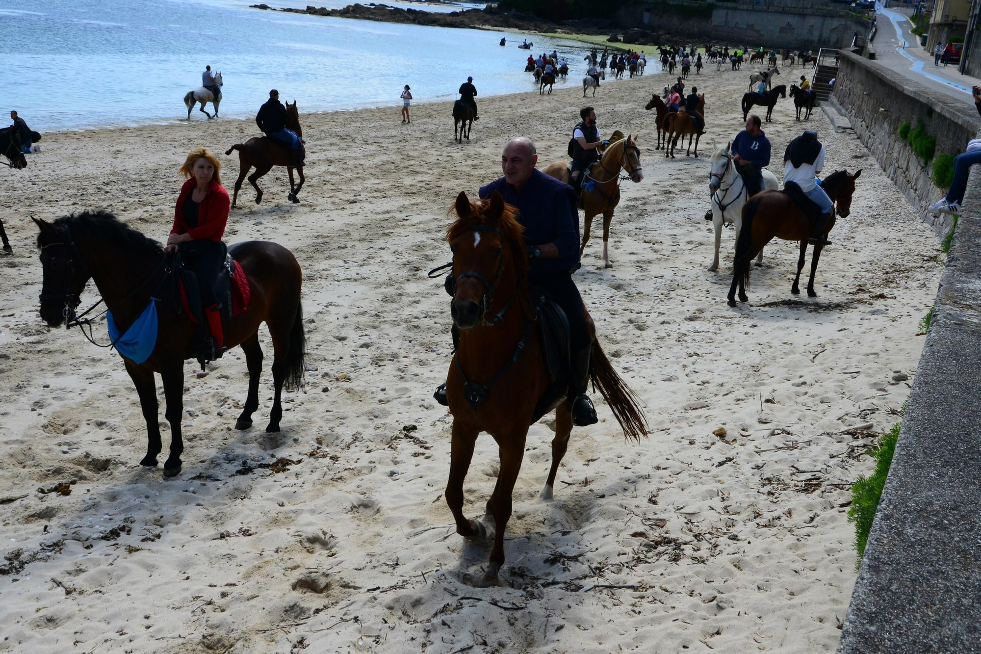 Más de 200 jinetes en la Xuntaza Cabalar de Moaña