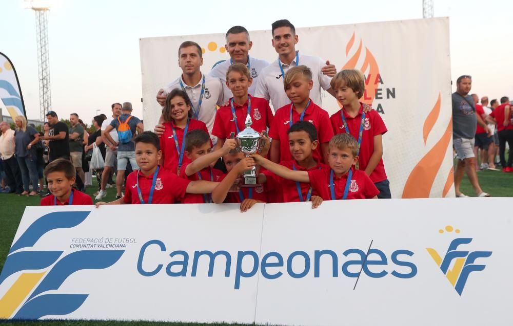 Campeones futbol 8