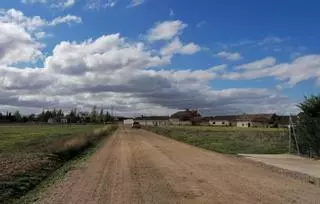 Once caminos rurales de Toro, en vías de reparación