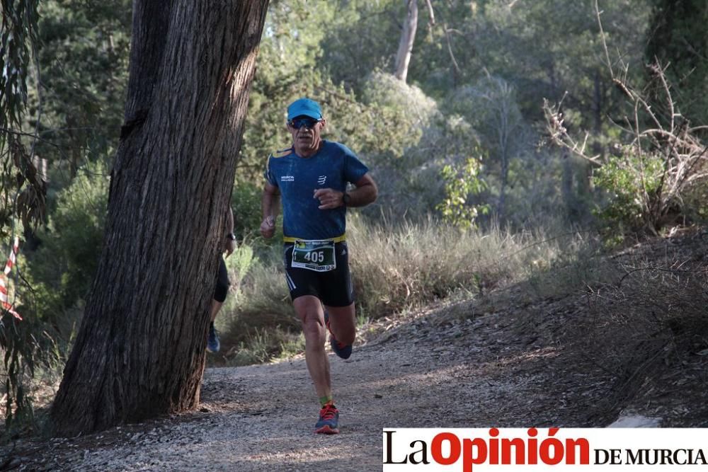 San Jorge Dragon en La Alcayna