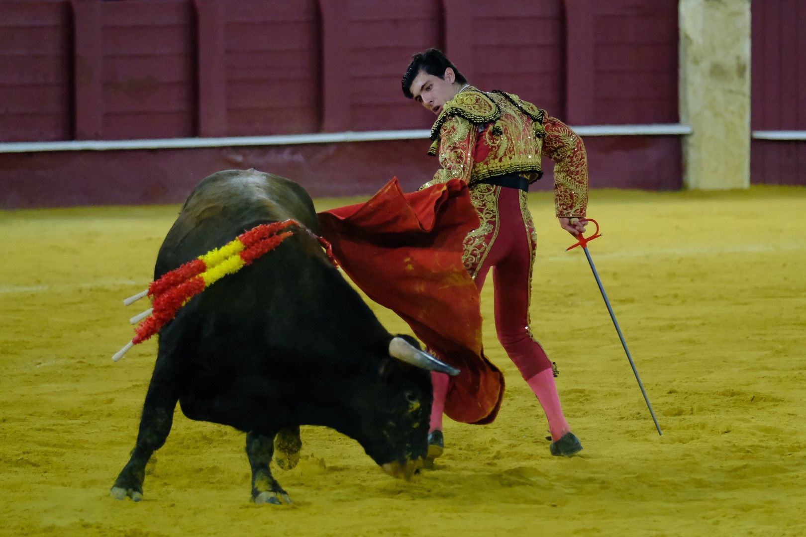 XVI Certamen Internacional de Escuelas Taurinas La Malagueta