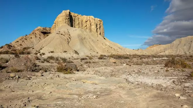 El rincón de España donde aparecen fósiles marinos en pleno desierto