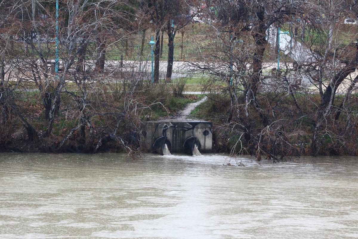 En imágenes I Así pasa el Ebro por Zaragoza tras las lluvias de los últimos días