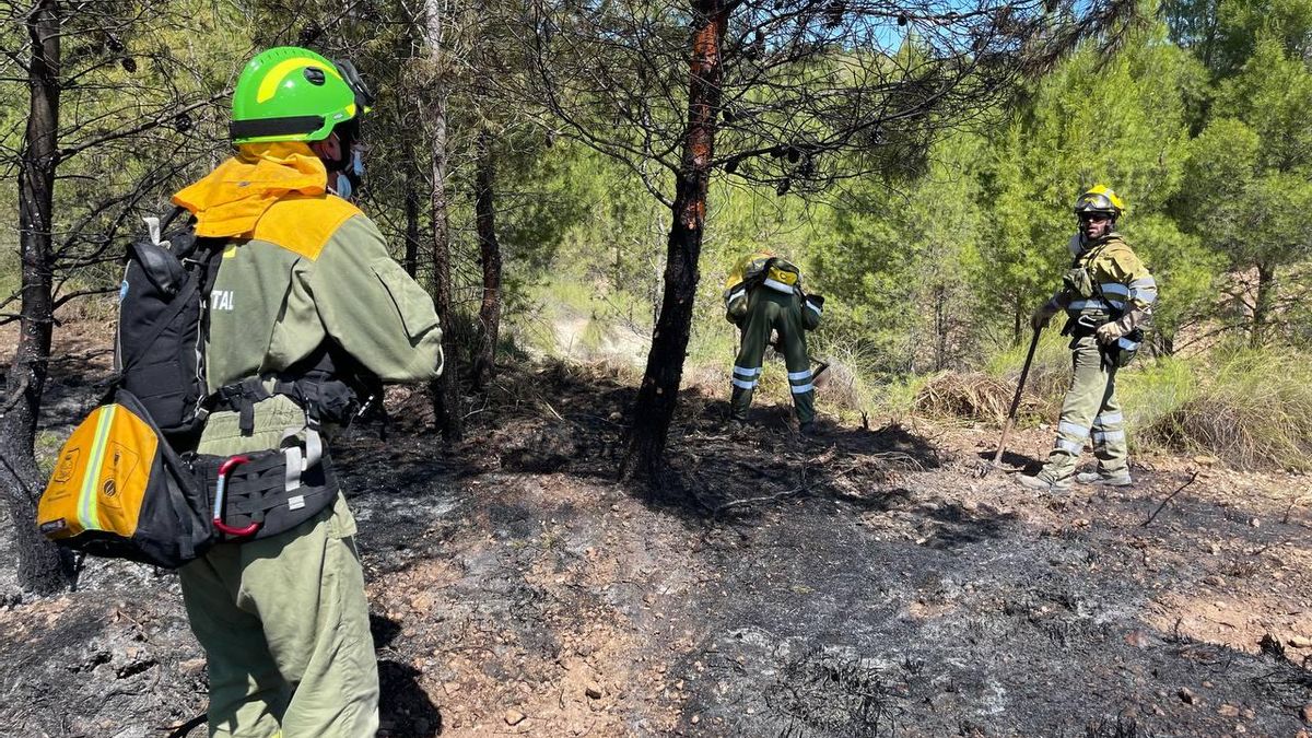 Efectivos en el lugar donde se ha declarado el fuego.