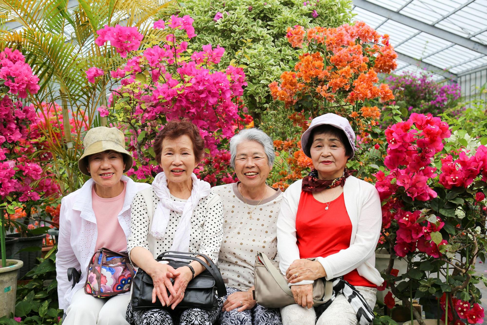 Mujeres mayores de Okinawa