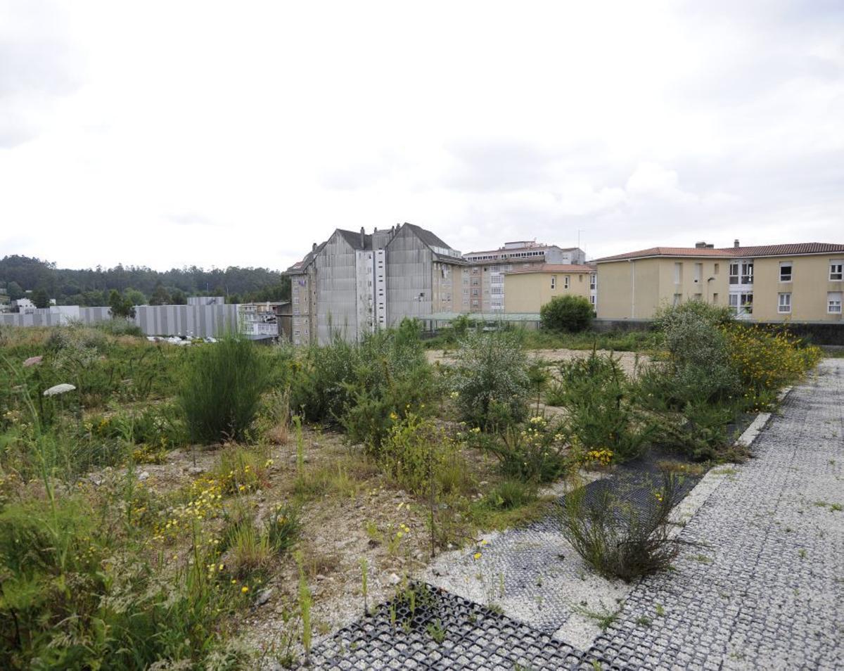 Terrenos en la zona del Mercadona en los que se construirán. | BERNABÉ