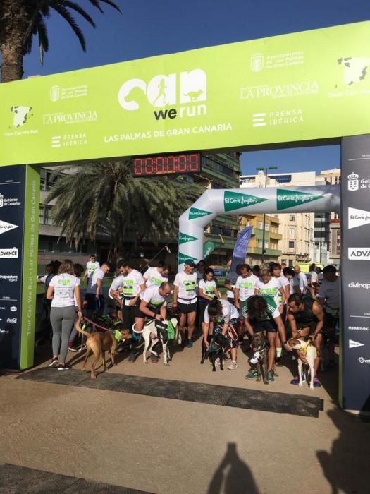 Carrera de mascotas Can We Run