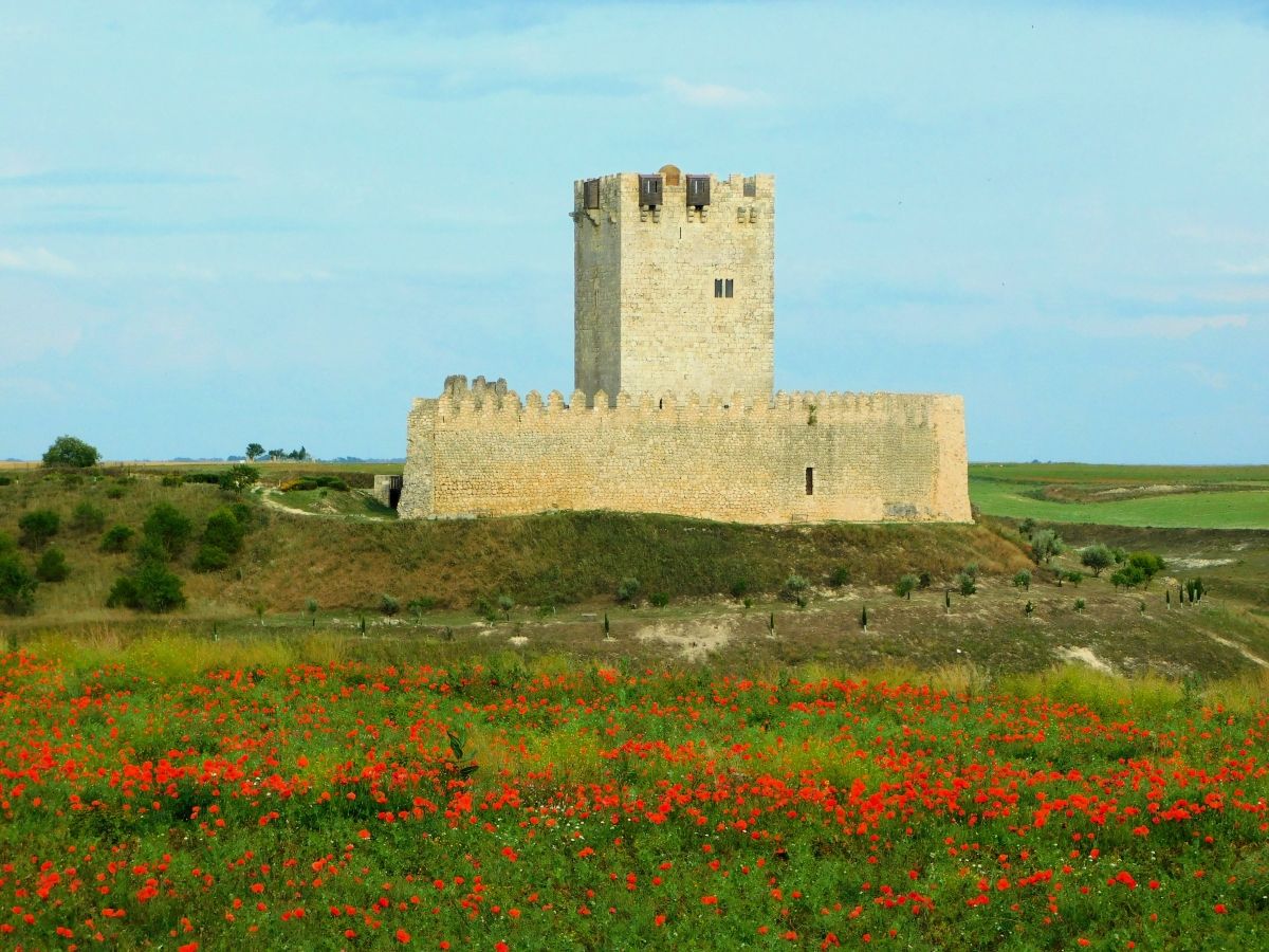 Castillo de Tiedra