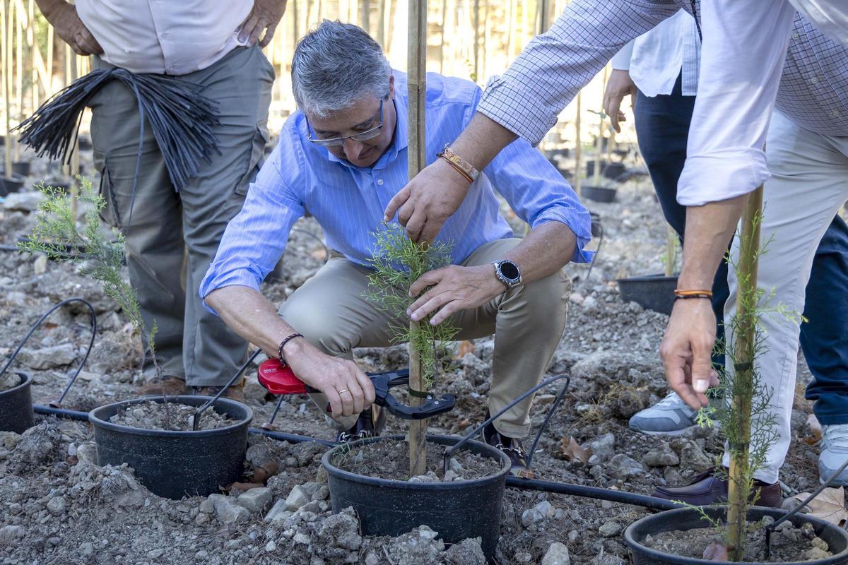 Francisco Salado, este jueves en la plantación.