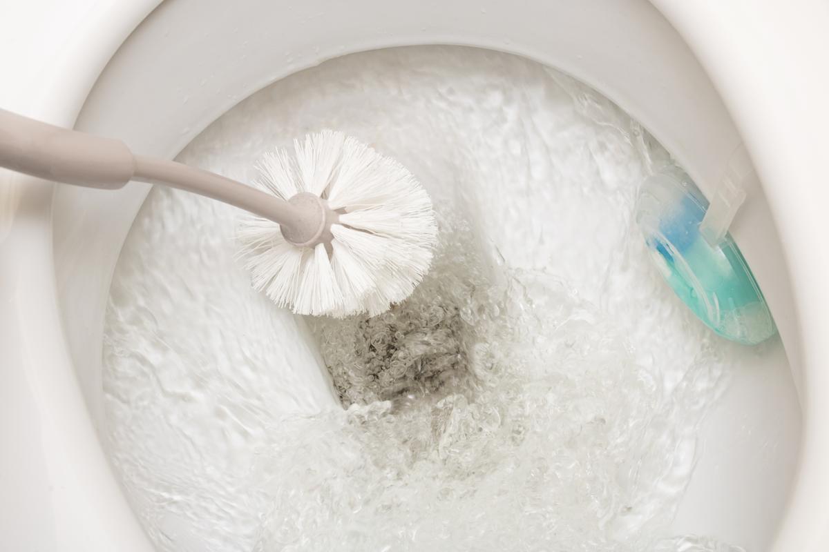 El truco de limpieza que todos están compartiendo: La magia de la sal en el inodoro
