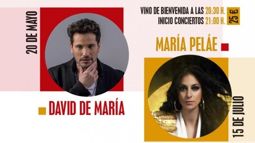 Cartel promocional de los conciertos de David de María y de María Peláe