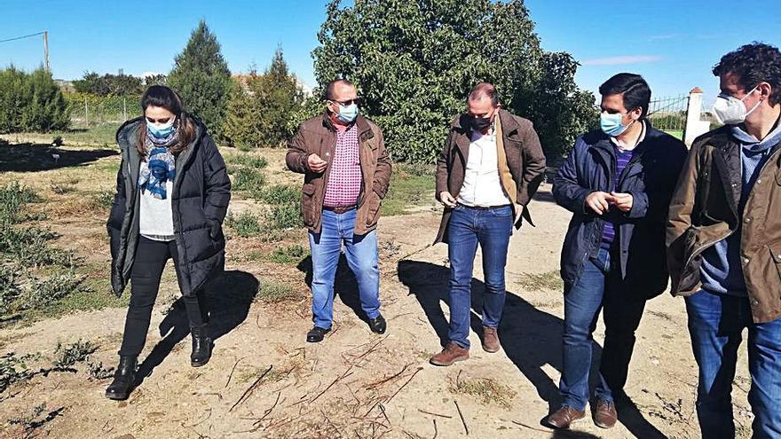 Visita de Francisco Requejo al vivero de la Diputación. | Diputación