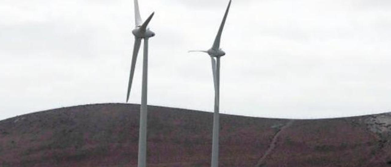 Imagen parcial del Parque Eólico de Teguise, en Lanzarote.