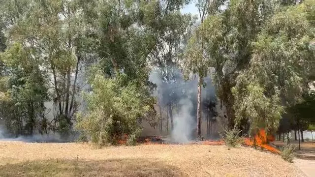 Vídeo | Incendio junto al edificio de los Institutos Universitarios de investigación de Badajoz