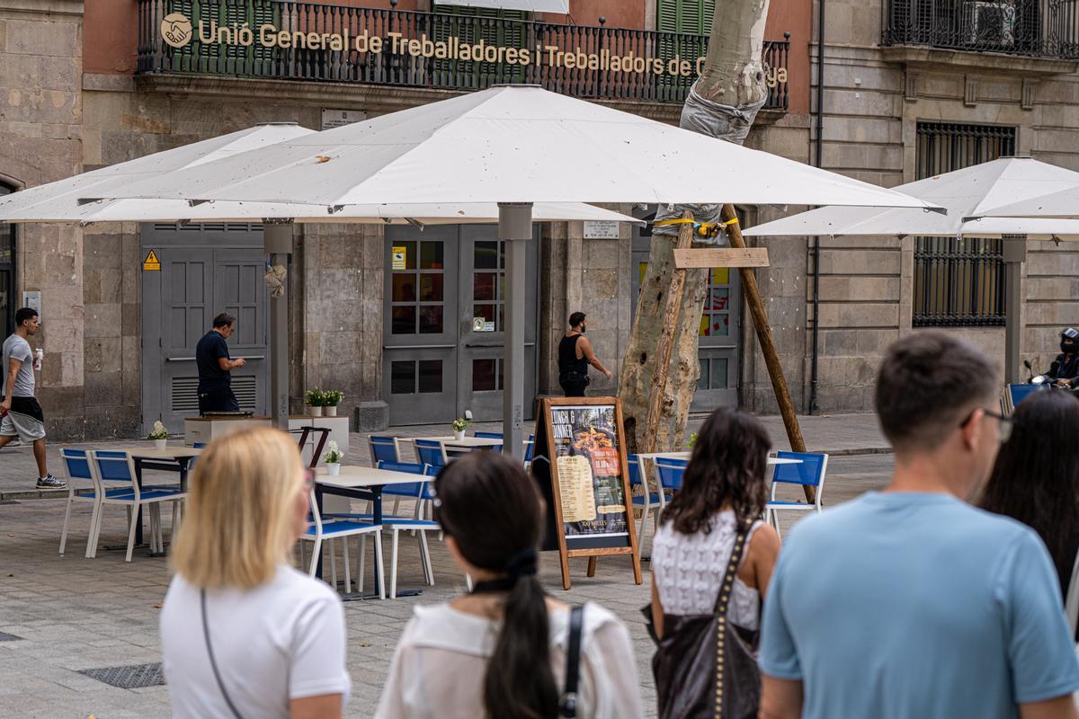 La terraza del restaurante 700 Millas, la única en la Rambla que cuenta con el nuevo mobiliario unificado. La terraza del restaurante 700 Millas, la única en la Rambla que cuenta con el nuevo mobiliario unificado.