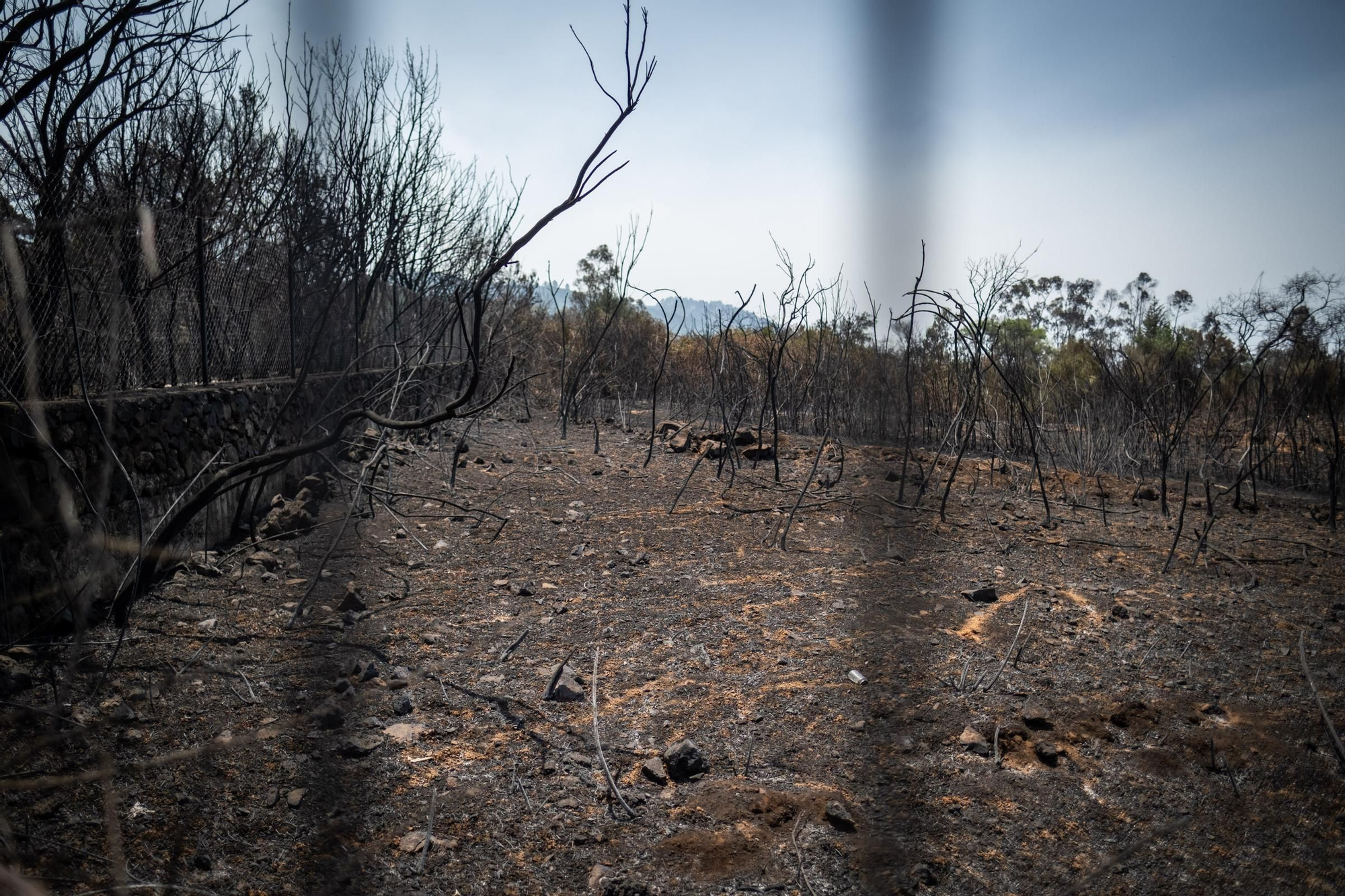 Monitoring of the fire in Tenerife