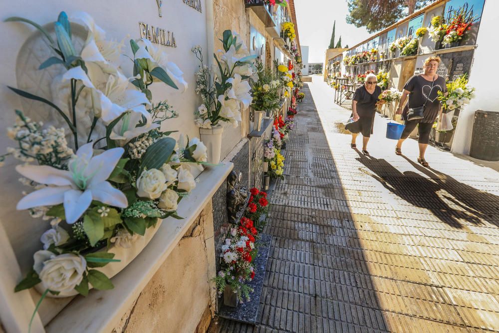 Visita al cementerio de Torrevieja en Todos los Sa