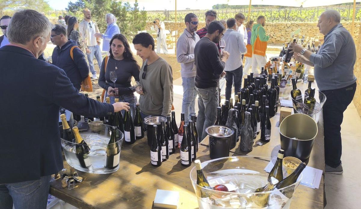 La presentación de los nuevos vinos y diseños de Terramoll reunió a numerosas personas, la mayoría del sector de la hostelería.  | PILAR MARTÍNEZ