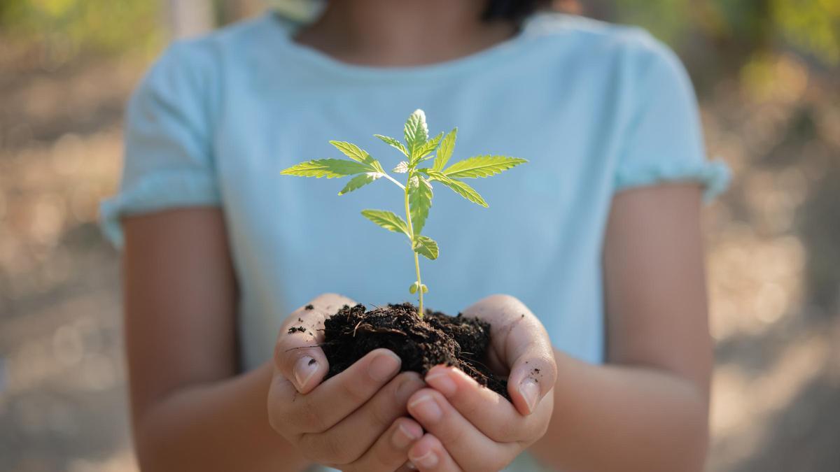 &#039;La educación importa para salvar el planeta&#039;