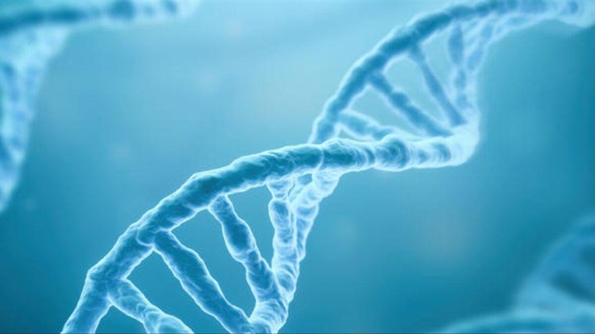 Filamentos de ADN.