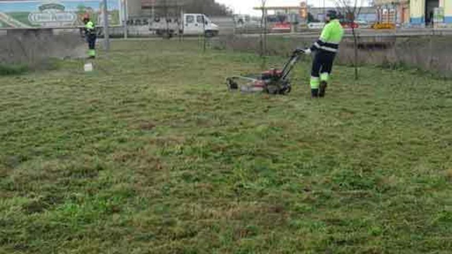 Vuelve el jardín a la Cañada Real Berciana