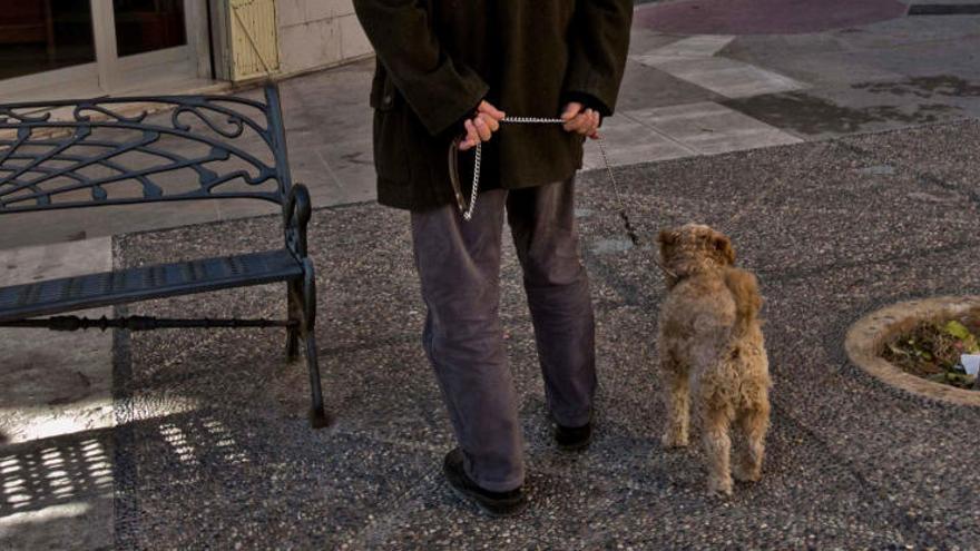 Más control sobre las mascotas en Crevillent