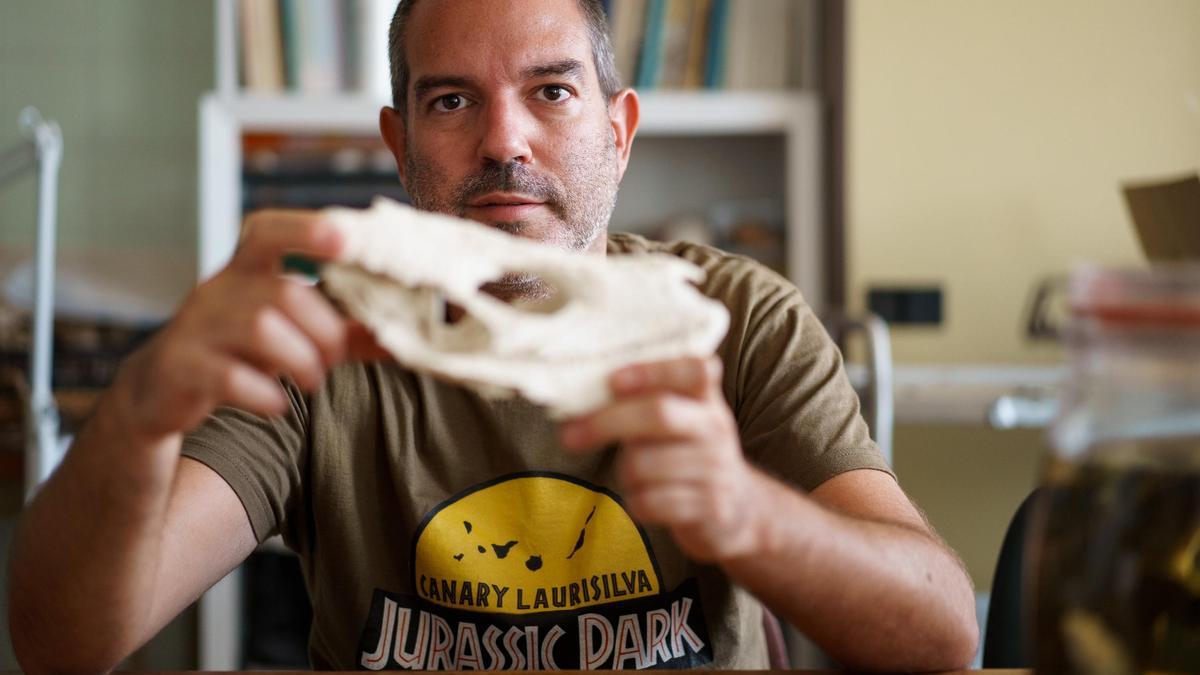 Víctor Tagua sostiene en sus manos una fuente de ADN de una especie extinta de Canarias.