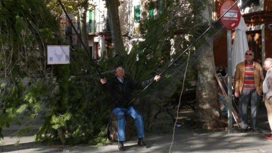 La Serra de Tramuntana protagoniza la Fira